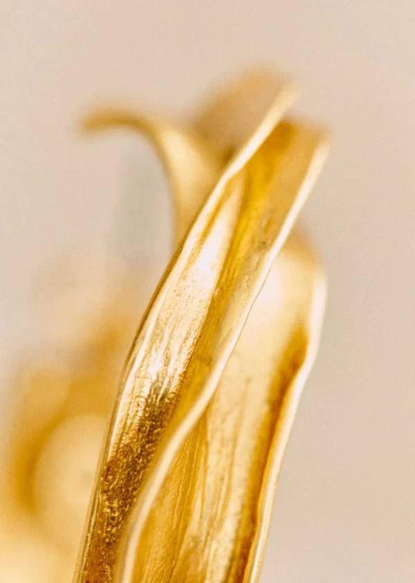 Abel Hoops