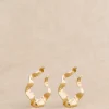 Anne Hoops