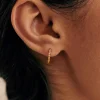 Gaia Hoops