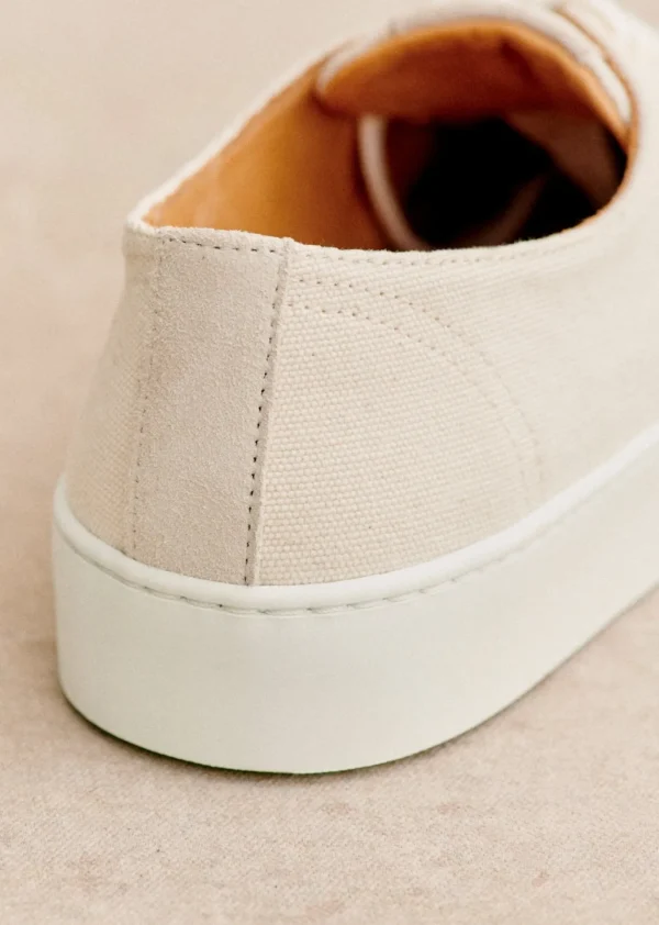 Matteo Baskets