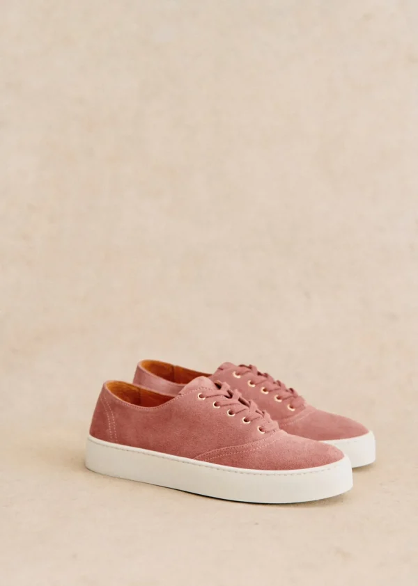 Matteo Baskets