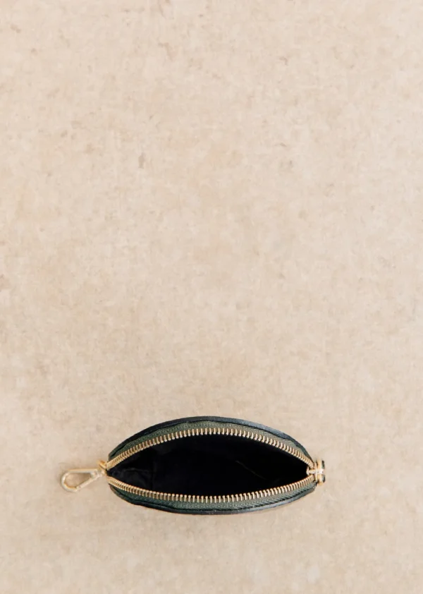 Sacha Coin Case