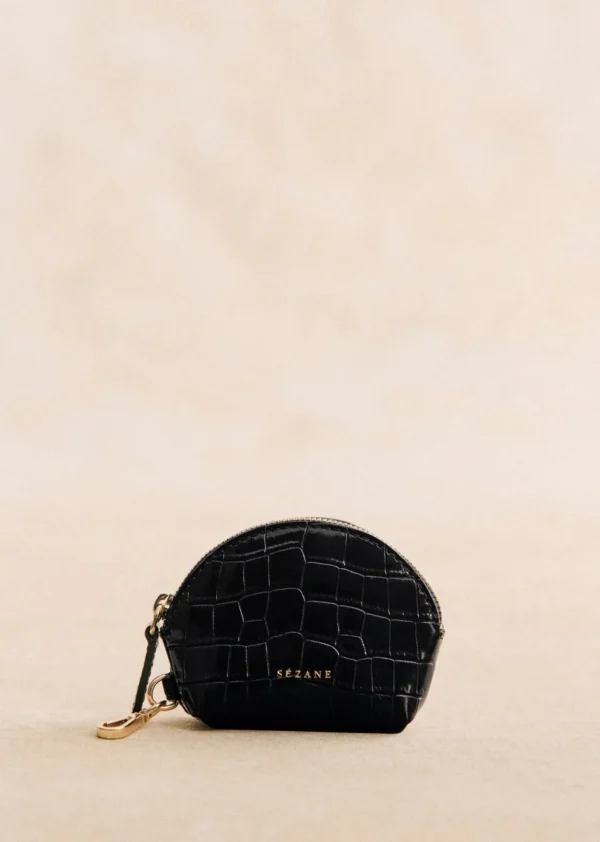 Sacha Coin Case