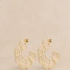 Tao Hoops