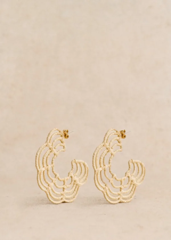 Tao Hoops