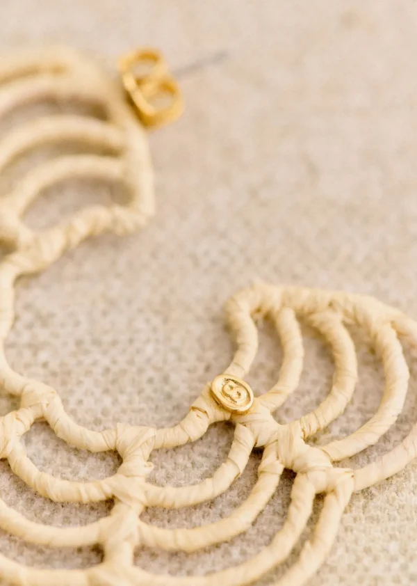 Tao Hoops